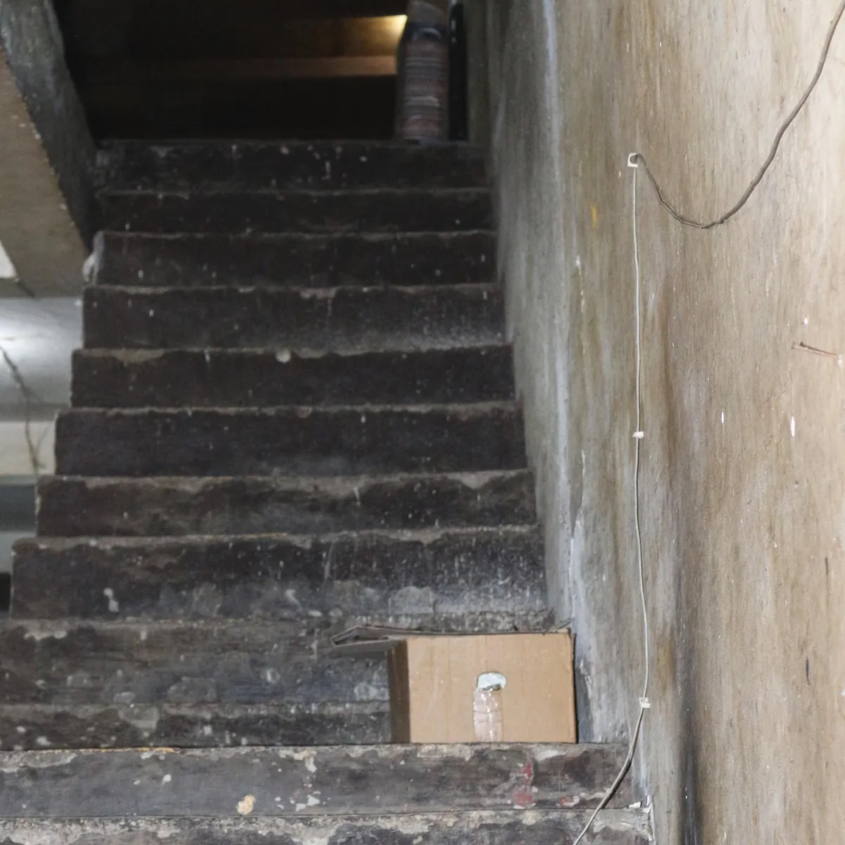 Schmutzige, verfallene Kellertreppe mit Karton und Kabel.