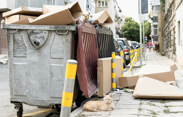Überfüllte Müllcontainer mit Katze auf Stadtbürgersteig.